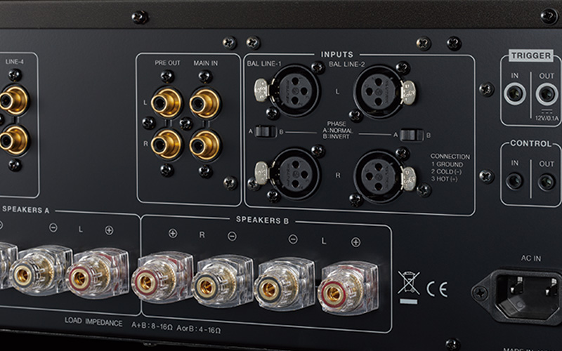Extensive Input and Output Connectivity